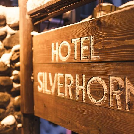 Hotel Silverhorn Myoko Exteriör bild